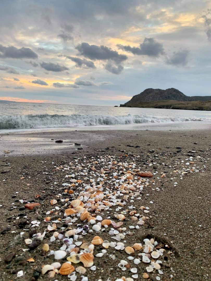 Evgatis Beach Stone Villas